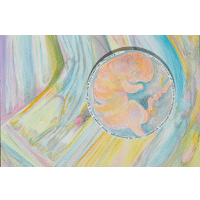 Fetus/Creativity Dreams