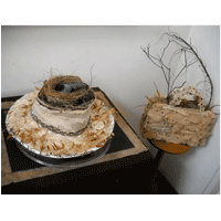 Natural Purse